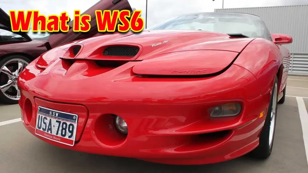 What Does WS6 Stand for